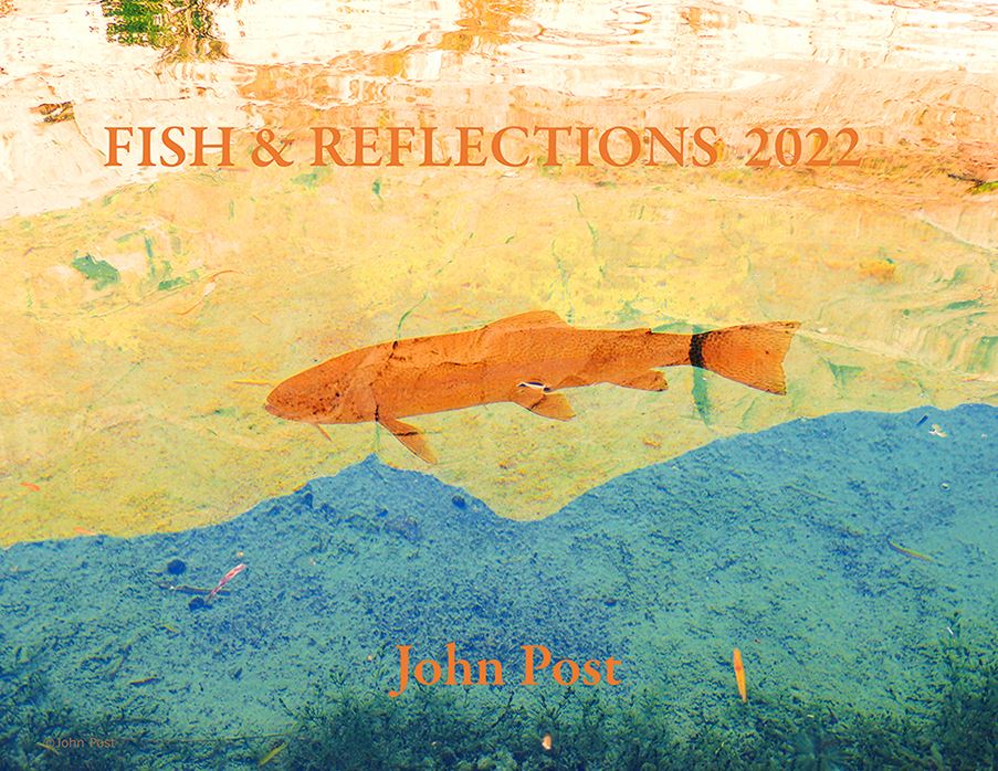 Fish Reflections Calendar 2022